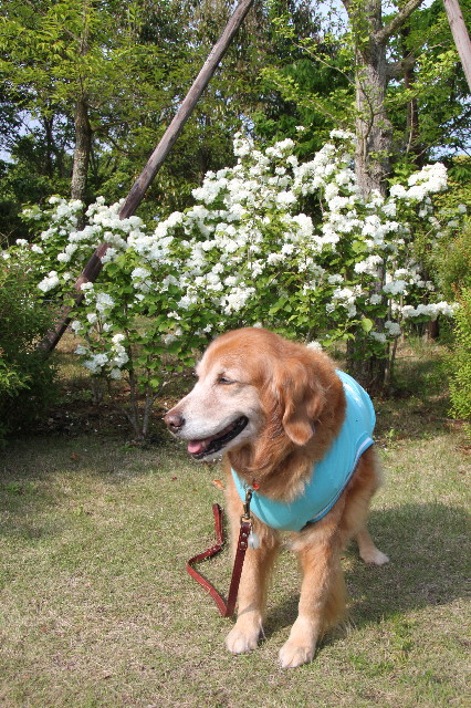 ファイル 1761-3.jpg