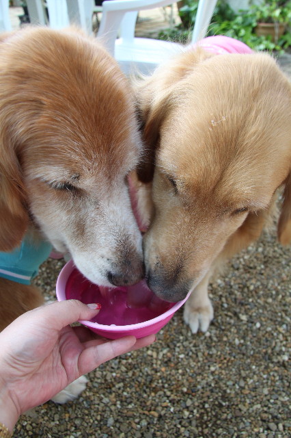 ファイル 1761-5.jpg