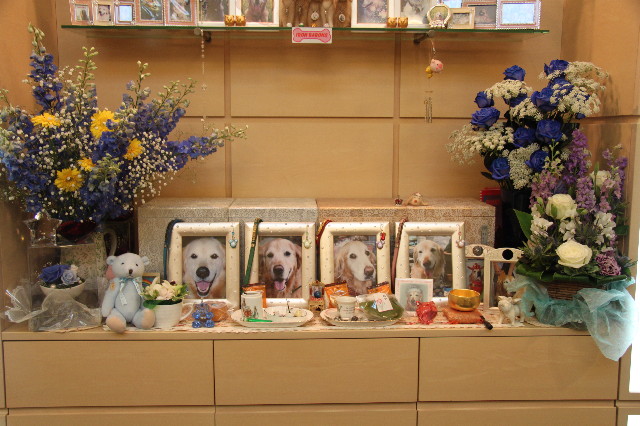 ファイル 1764-3.jpg