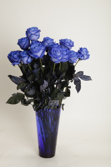 ファイル 1765-3.jpg