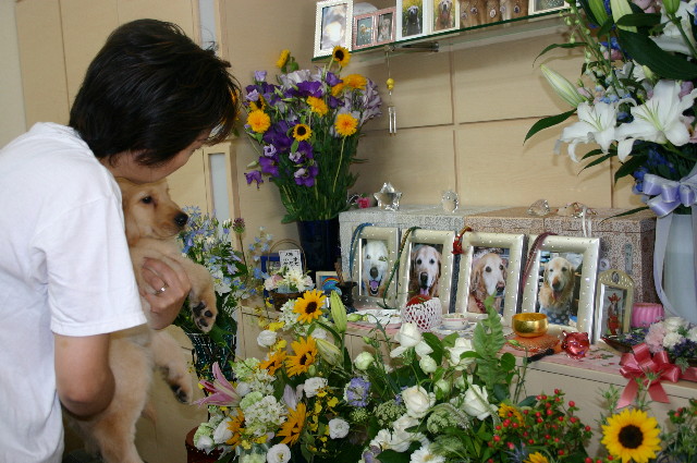 ファイル 1766-2.jpg