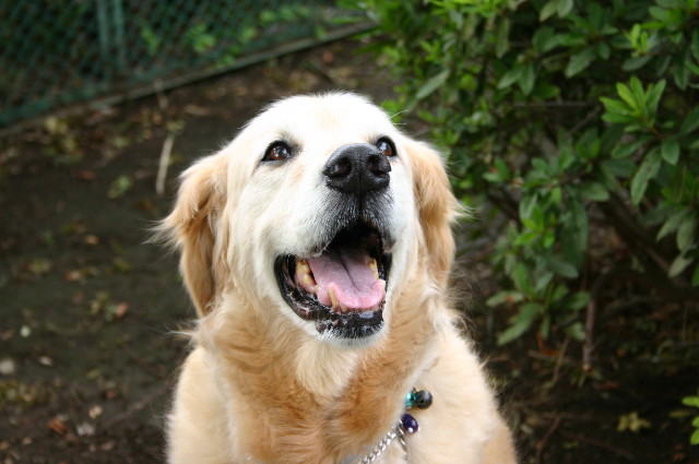 ファイル 1766-5.jpg