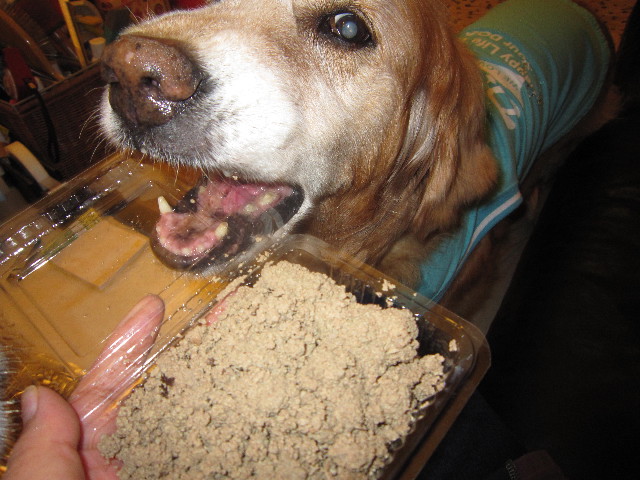 ファイル 1768-4.jpg