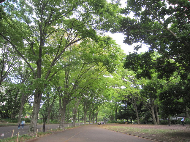 ファイル 1771-2.jpg