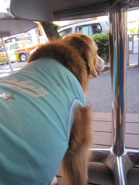 ファイル 1771-4.jpg