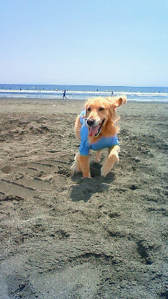 ファイル 1772-1.jpg