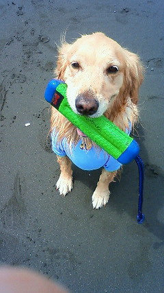 ファイル 1772-2.jpg