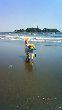 ファイル 1772-3.jpg