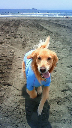 ファイル 1772-4.jpg