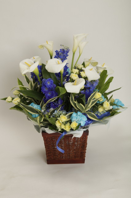 ファイル 1773-4.jpg