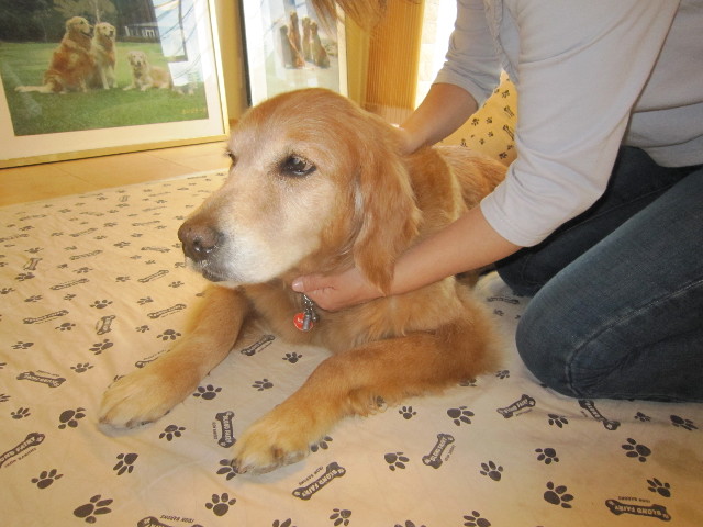 ファイル 1775-2.jpg