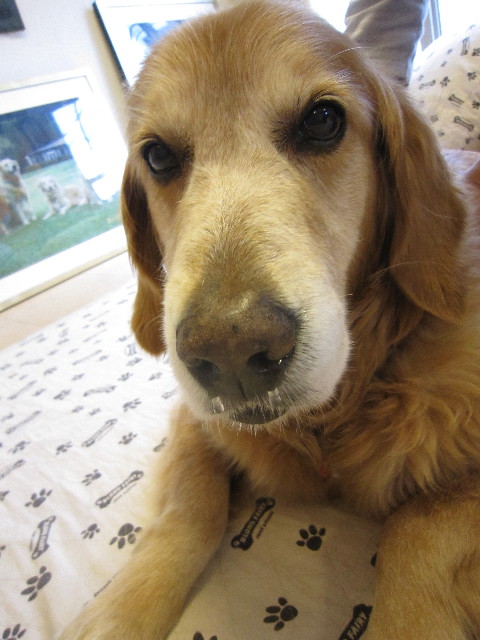 ファイル 1775-3.jpg