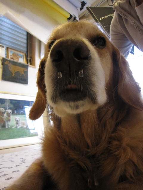 ファイル 1775-4.jpg