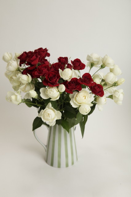 ファイル 1776-5.jpg