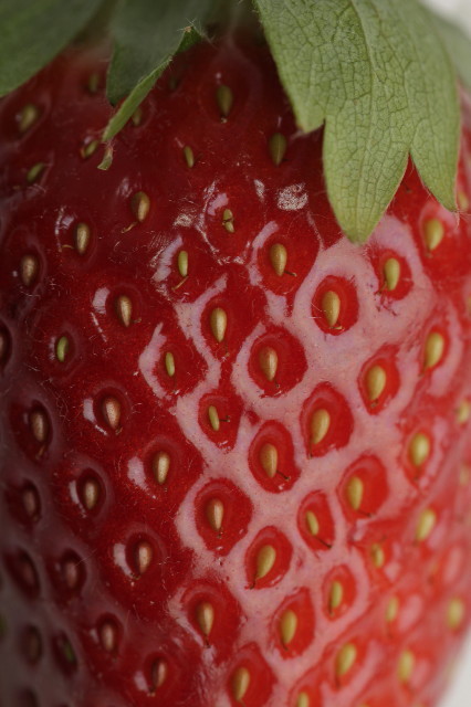 ファイル 1777-2.jpg