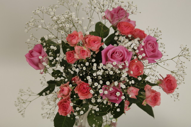 ファイル 1777-4.jpg