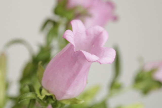 ファイル 1778-2.jpg