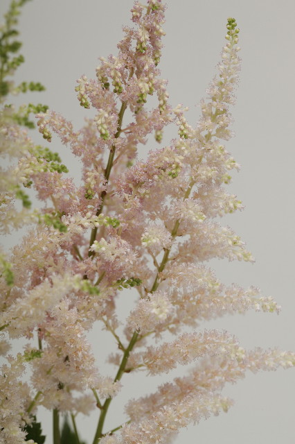 ファイル 1778-4.jpg