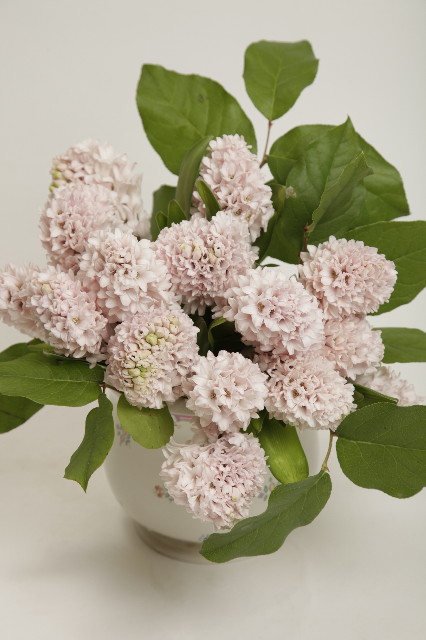 ファイル 1778-5.jpg