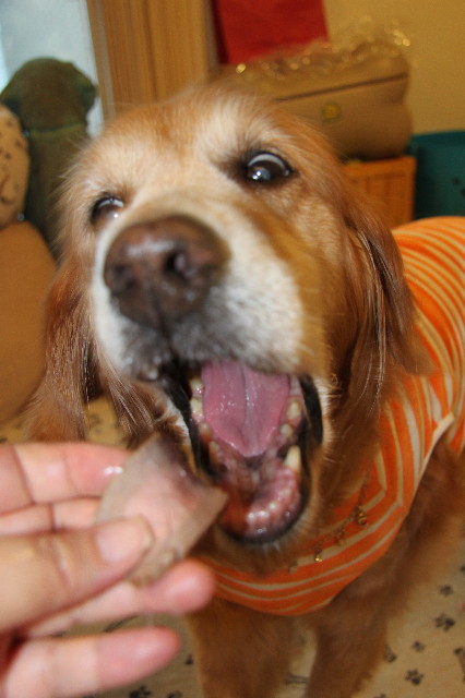 ファイル 1779-3.jpg