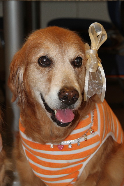 ファイル 1779-5.jpg