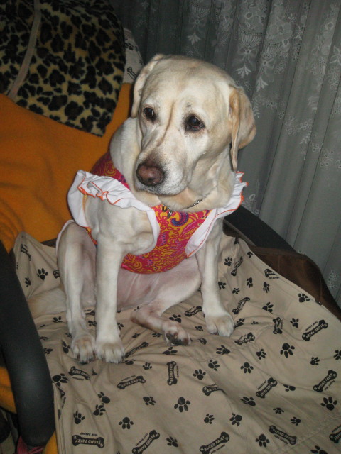 ファイル 178-2.jpg