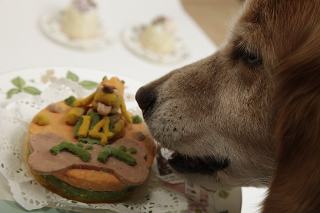 ファイル 1780-2.jpg