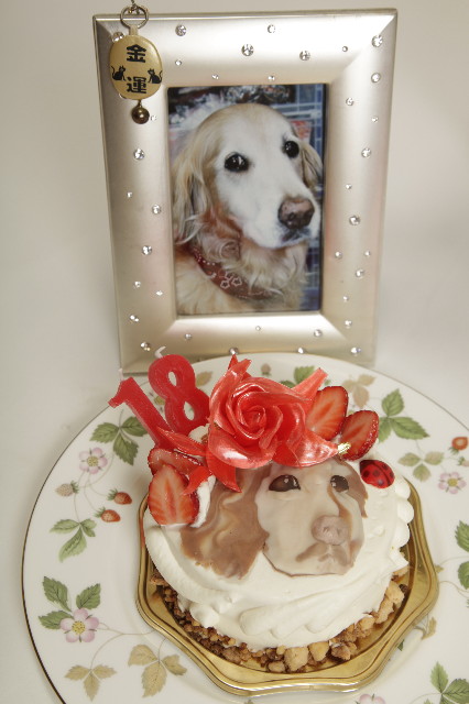 ファイル 1780-3.jpg