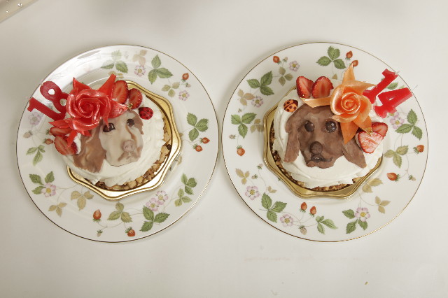 ファイル 1780-4.jpg