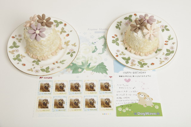 ファイル 1781-3.jpg