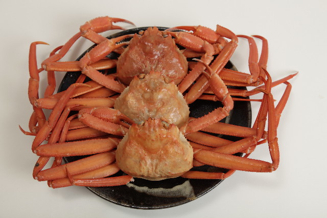 ファイル 1782-5.jpg