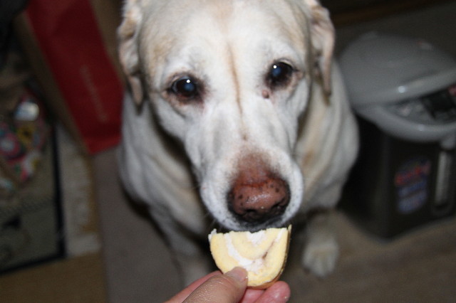 ファイル 1784-2.jpg