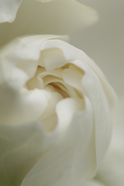 ファイル 1786-1.jpg