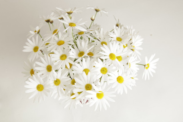 ファイル 1786-2.jpg