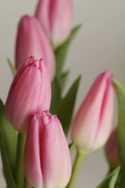 ファイル 1786-3.jpg