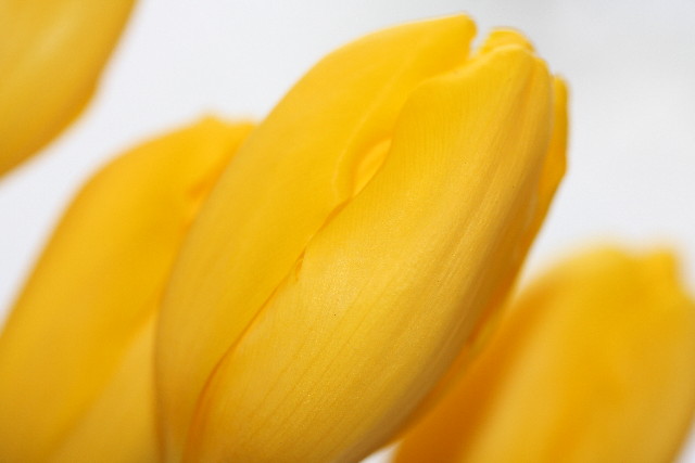 ファイル 1786-4.jpg