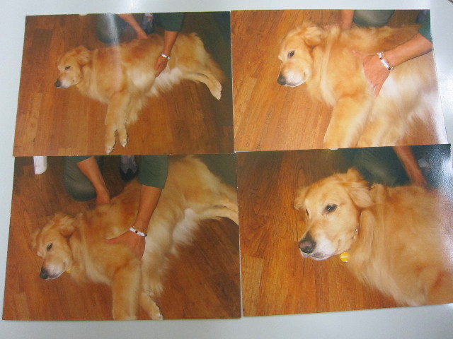 ファイル 1787-2.jpg