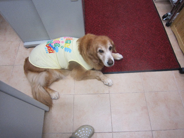 ファイル 1787-3.jpg