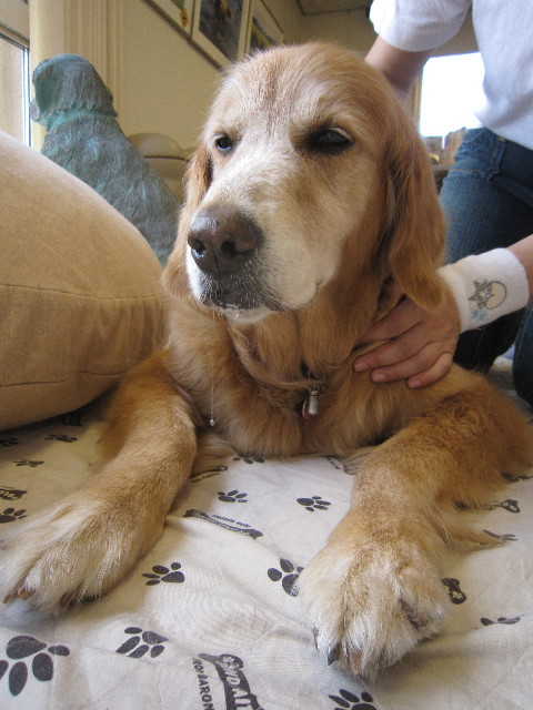 ファイル 1788-3.jpg