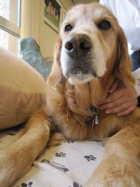 ファイル 1788-4.jpg