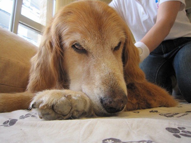 ファイル 1788-5.jpg