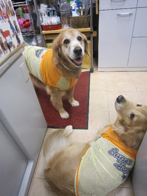 ファイル 1789-1.jpg