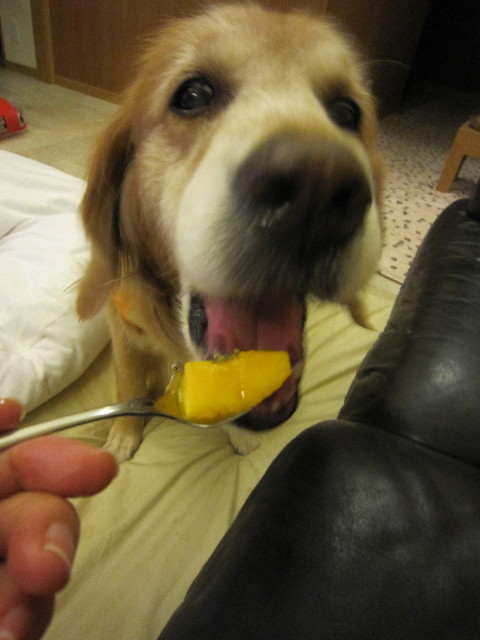 ファイル 1789-3.jpg