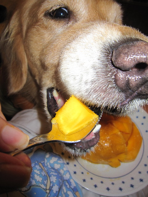 ファイル 1789-4.jpg