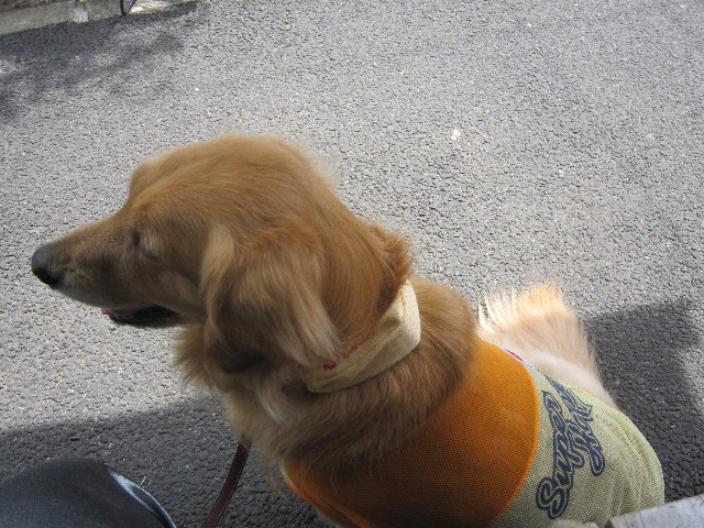 ファイル 1789-5.jpg