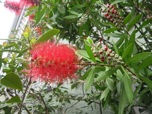 ファイル 1791-5.jpg