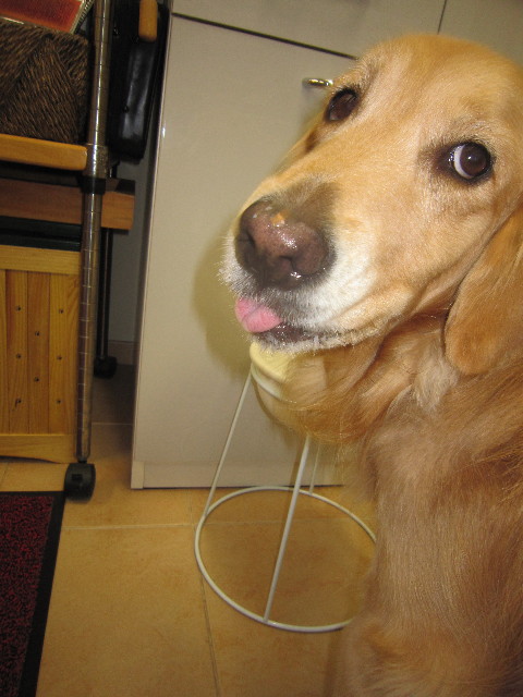 ファイル 1793-1.jpg