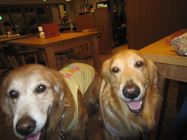 ファイル 1793-2.jpg