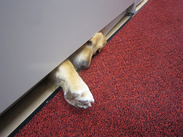 ファイル 1793-3.jpg