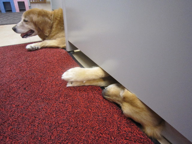 ファイル 1793-4.jpg